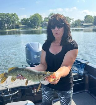 Pike Biting In Lake Minnetonka MN