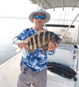 Fishing for Sheepshead in North Carolina Waters!