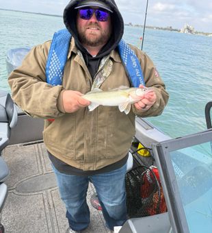 Nice Huron OH walleye making the day complete!