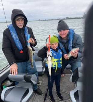 Great walleye action on Lake Erie near Huron!