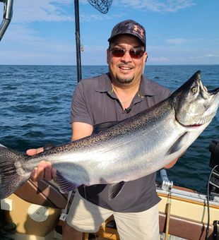 Hook Salmon with St. Catharines charts