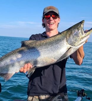 Monster Chinook salmon landed