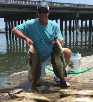 Whipsaw Fishing Charters