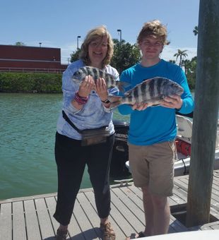 Sheepshead from St Petersburg Fishing