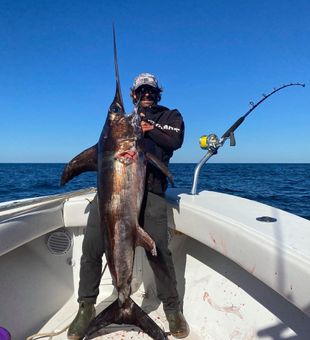 Wanchese waters, where fish thrive - Marlin