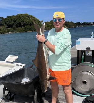 Big cobia catch in Florida waters!