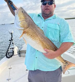 Redfish at Crystal Beach, TX,