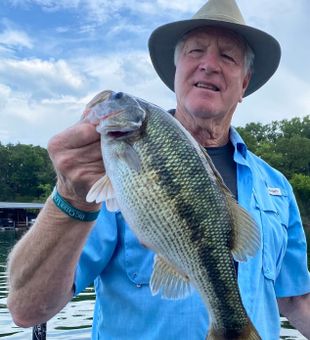 Spotted Bass in Branson, MO 