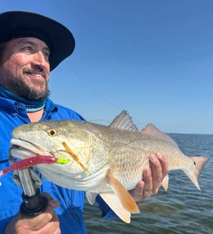 Look alive! Redfish honeyhole came up!