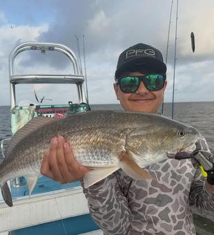 Hook into hard-fighting inshore species while exploring the beautiful waters of Corpus Christi.