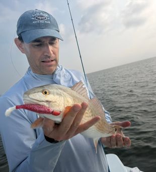Hard-Fighting Redfish Catch