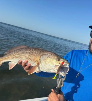Port Isabel surely never disappoints on Redfish