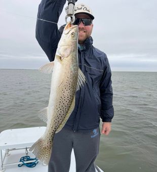 Clean Speckled Trout Bite