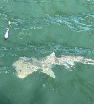 Clear skies and heavy tackle: the perfect recipe for an epic day on the water!
