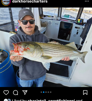 Black Sea Bass Inshore Fishing Trips