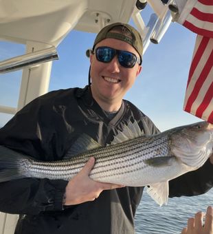 Striped Bass are here! - Middletown Township, NJ.