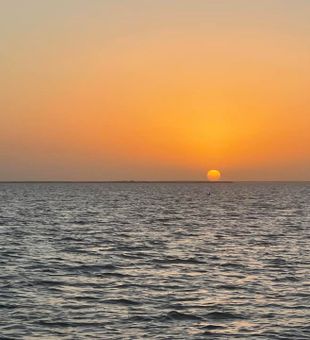 Sunset View