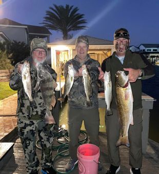 Awesome catches!