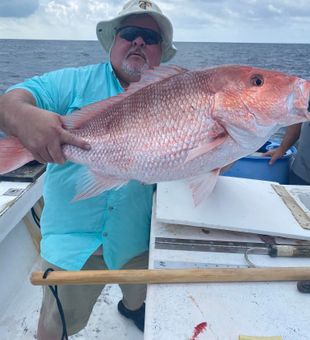 Snapper Run! Excellent Deep Sea Charter Experience