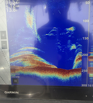 Sonar marks lighting up the screen in Miami waters!