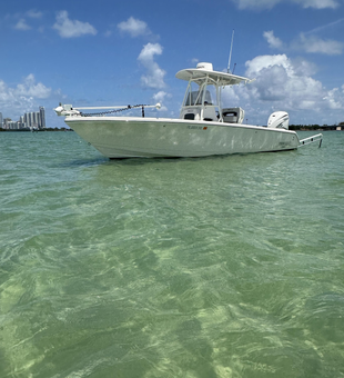 Hop On For An Amazing Fishing Adventure In Florida