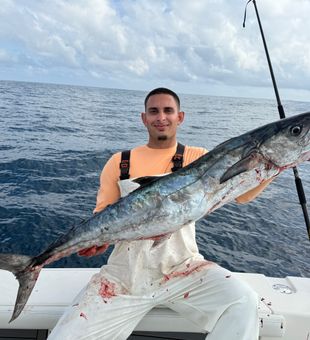 North Miami king mackerel bringing the heat!