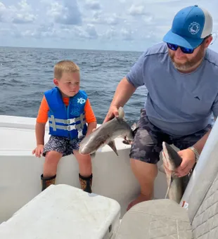 Shark Fishing and Kidding on Lake Conroe