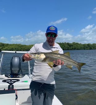 Beautiful Key Largo snook on the boat!