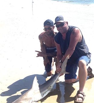 Surf fishing for sharks never gets old.