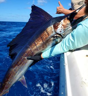 Explore West Palm's Waters with Sailfish Catch