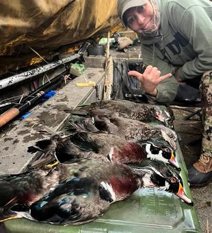 Birds Down! - Crystal River, FL.