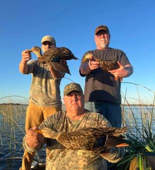 Duck hunting season came and went, Crystal River.