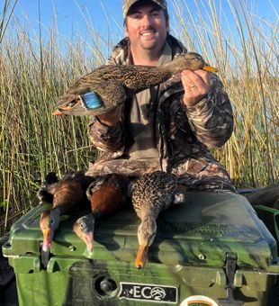 Crystal River FL guided hunting.
