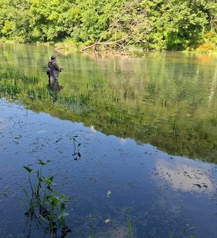 Reel in your next catch in Crystal River, FL.