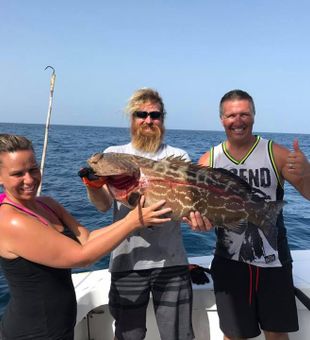 Strong goliath grouper catch off Fort Lauderdale
