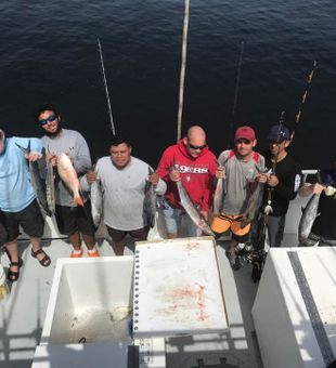 Loaded offshore catch off Fort Lauderdale