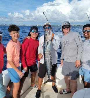 Fresh and Wild Spanish Mackerel in Pompano Beach