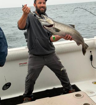 Chasing salmon in the waters of Lake Ontario.