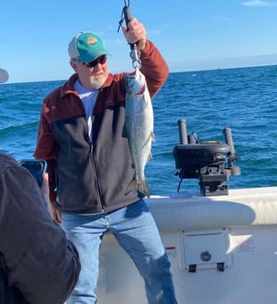 Lake Ontario salmon fishing: patience, precision, and pure power.
