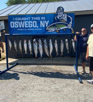 Oswego, NY Salmon Success! 🎣
