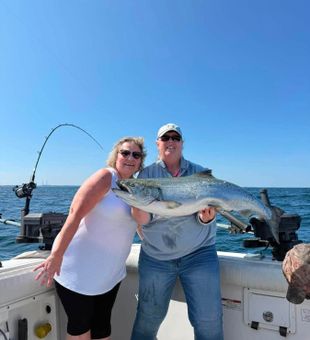Beautiful Chinook salmon caught in Oswego NY waters!