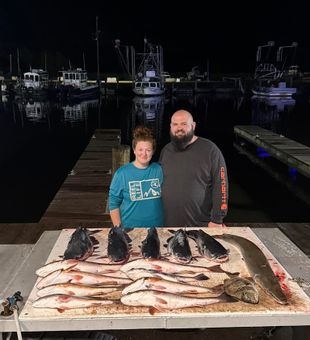 Bayou bites never disappoint