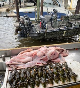 Redfish, Catfish, and Frogs!
