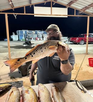 Under the Louisiana stars, Lafitte night fishing delivers nonstop action.