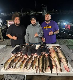 Fish under the moonlight and experience a whole new side of Lafitte's legendary waters.