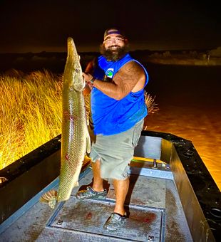 Target Alligator gar with bowfishing in LA.