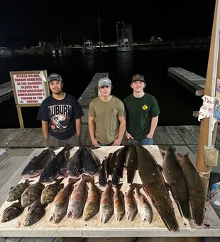 Watch the Louisiana marsh come alive after dark on a guided night fishing adventure in Lafitte.