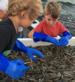 Manns Harbor, Shrimping Trip