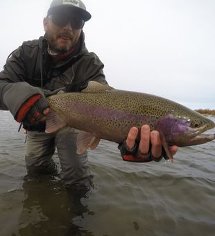 Sunshine and trout bites!