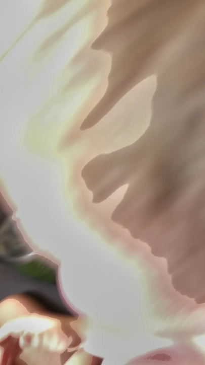 defaultImg